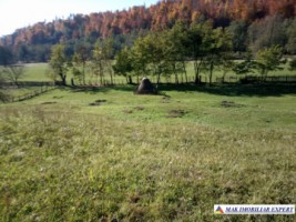 teren-intravilan-6000-mp-de-vanzare-in-albestii-de-muscel-candesti-arges-11