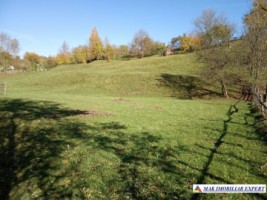 teren-intravilan-6000-mp-de-vanzare-in-albestii-de-muscel-candesti-arges-12