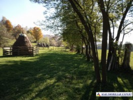 teren-intravilan-6000-mp-de-vanzare-in-albestii-de-muscel-candesti-arges-14