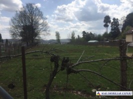 teren-intravilan-de-vanzare-3420-mp-in-grui-campulung-muscel-arges-11