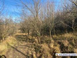 teren-intravilan-de-vanzare-2136-mp-pe-calea-targovistei-campulung-muscel-arges-8