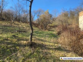 teren-intravilan-de-vanzare-2136-mp-pe-calea-targovistei-campulung-muscel-arges-9