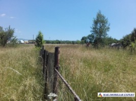 teren-intravilan-de-4541-mp-cu-deschidere-la-drum-asfaltat-si-utilitati-disponibile-ideal-pentru-constructii-rezidentiale-sau-comerciale-situat-in-valea-mare-pravat-arges-3