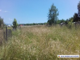 teren-intravilan-de-4541-mp-cu-deschidere-la-drum-asfaltat-si-utilitati-disponibile-ideal-pentru-constructii-rezidentiale-sau-comerciale-situat-in-valea-mare-pravat-arges-4