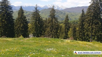 teren-6580-mp-intravilan-dambovicioara-dealul-sasului-1