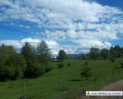 teren-extravilan-2800-mp-in-cretisoara-campulung-muscel-arges