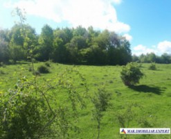 teren-extravilan-2800-mp-in-cretisoara-campulung-muscel-arges-2