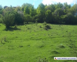 teren-extravilan-2800-mp-in-cretisoara-campulung-muscel-arges-1
