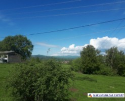 teren-extravilan-2800-mp-in-cretisoara-campulung-muscel-arges-8
