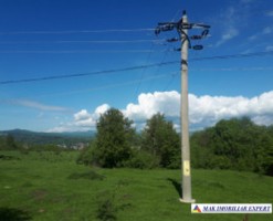 teren-extravilan-2800-mp-in-cretisoara-campulung-muscel-arges-9