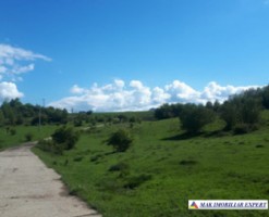 teren-extravilan-2800-mp-in-cretisoara-campulung-muscel-arges-10