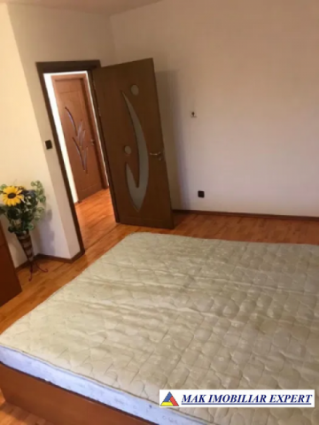 vand-vila-4-camere-teren-800-mp-pitesti-calea-campulung-arges-9