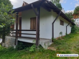casa-de-vanzare-arges-4-camere-cu-crama-si-teren-994-mp-in-nucsoara-1