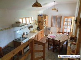 casa-de-vanzare-arges-4-camere-cu-crama-si-teren-994-mp-in-nucsoara-10