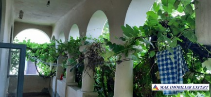 vila-stil-4-camere-cu-teren-de-3500-mp-de-vanzare-in-pietrosani-domnesti-arges-resedinta-unica-intr-o-zona-pitoreasca-17
