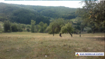 teren-extravilan-15-ha-pasune-de-vanzare-in-draghici-mihaesti-arges-investitii-2