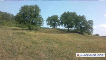 teren-extravilan-15-ha-pasune-de-vanzare-in-draghici-mihaesti-arges-investitii-13