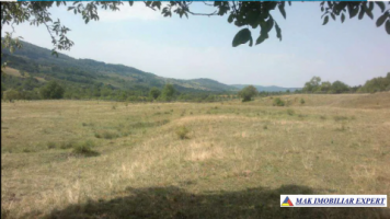 teren-extravilan-15-ha-pasune-de-vanzare-in-draghici-mihaesti-arges-investitii-14