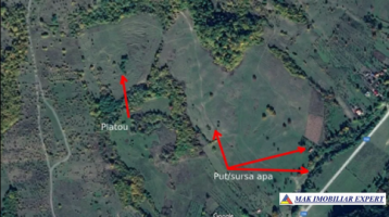teren-extravilan-15-ha-pasune-de-vanzare-in-draghici-mihaesti-arges-investitii-20
