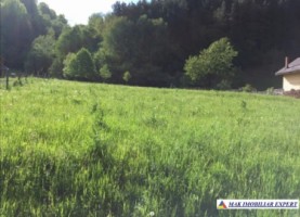 teren-intravilan-3075-mp-de-vanzare-in-dragoslavele-arges-oportunitate-ideala-pentru-investitii-imobiliare