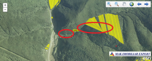 padure-172-ha-mixt-leresti-dobreasu-mare-6
