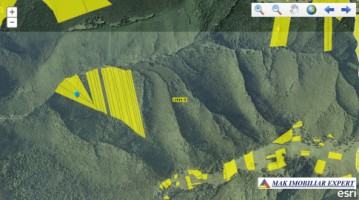 padure-172-ha-mixt-leresti-dobreasu-mare-5