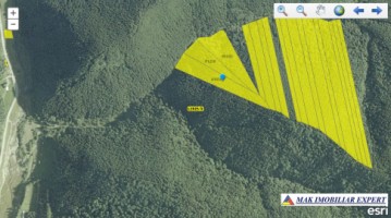 padure-172-ha-mixt-leresti-dobreasu-mare-4
