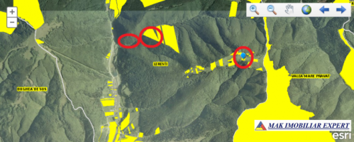padure-172-ha-mixt-leresti-dobreasu-mare-7
