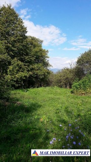teren-intravilan-de-1-ha-cu-casa-la-rosu-utilitati-si-acoperis-nou-situat-in-bilcesti-valea-mare-pravat-arges-23