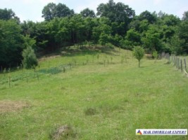 vand-teren-intravilan-de-2130-mp-in-apa-sarata-campulung-muscel-arges-4