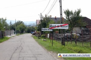 teren-intravilan-3800-mp-de-vanzare-in-albestii-de-muscel-ideal-pentru-dezvoltare-rezidentiala-8