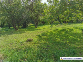 teren-2800-mp-intravilan-bradulet