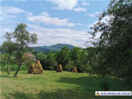 teren-2800-mp-intravilan-bradulet-1