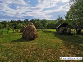 teren-2800-mp-intravilan-bradulet-2