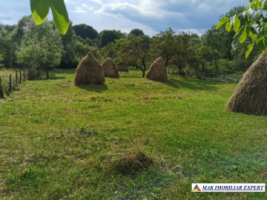 teren-2800-mp-intravilan-bradulet-4