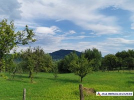 teren-2800-mp-intravilan-bradulet-3