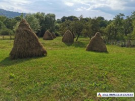 teren-2800-mp-intravilan-bradulet-5