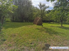 teren-2800-mp-intravilan-bradulet-6