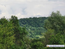 teren-2800-mp-intravilan-bradulet-7