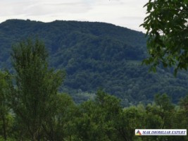 teren-2800-mp-intravilan-bradulet-8
