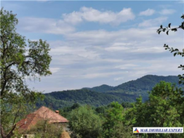 teren-2800-mp-intravilan-bradulet-9