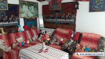 vand-casa-4-camere-cu-anexele-sale-teren-6000-mp-hartiesti-3