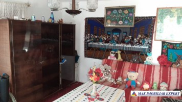 vand-casa-4-camere-cu-anexele-sale-teren-6000-mp-hartiesti-4
