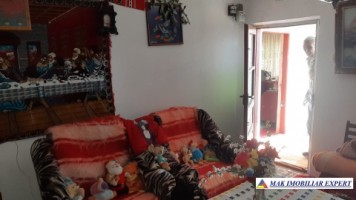 vand-casa-4-camere-cu-anexele-sale-teren-6000-mp-hartiesti-5