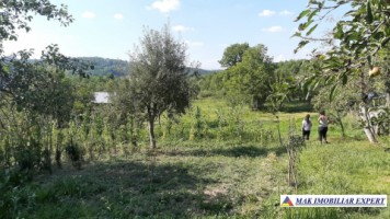 vand-casa-4-camere-cu-anexele-sale-teren-6000-mp-hartiesti-15