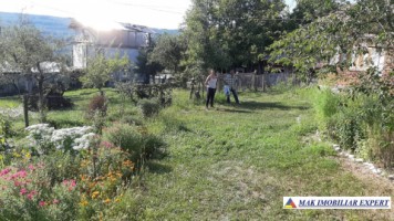 vand-casa-4-camere-cu-anexele-sale-teren-6000-mp-hartiesti-16
