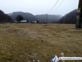 teren-intravilan-5000-mp-de-vanzare-in-berevoiesti-ideal-pentru-dezvoltari-rezidentiale