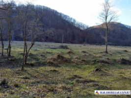 teren-intravilan-5000-mp-de-vanzare-in-berevoiesti-ideal-pentru-dezvoltari-rezidentiale-1