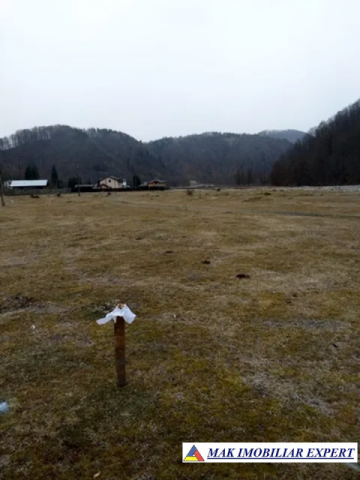 teren-intravilan-5000-mp-de-vanzare-in-berevoiesti-ideal-pentru-dezvoltari-rezidentiale-2