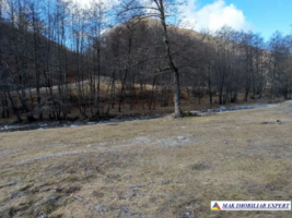 teren-intravilan-5000-mp-de-vanzare-in-berevoiesti-ideal-pentru-dezvoltari-rezidentiale-3
